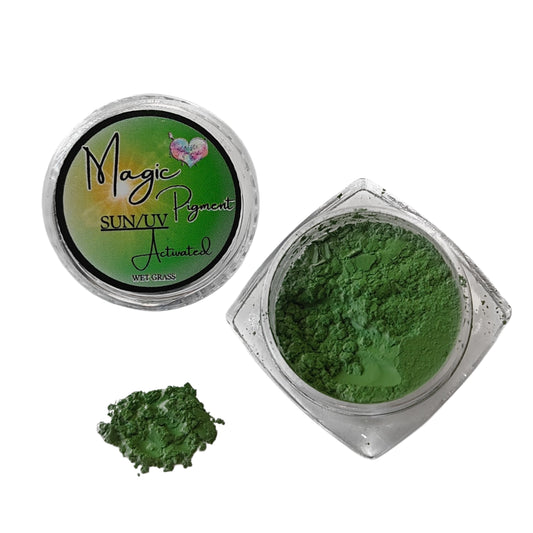 MAGIC COLOR CHANGING PIGMENT (SUN/UV) - WET GRASS
